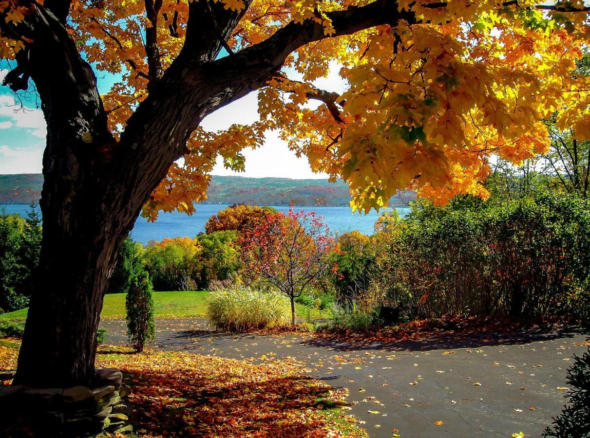 Moonshadow B&B Hammondsport Esterno foto